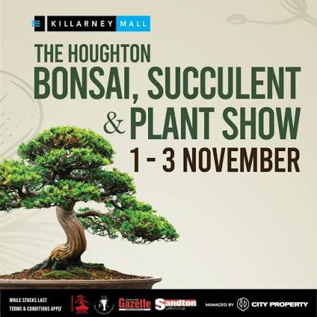 houghton-bonsai-succulent-show