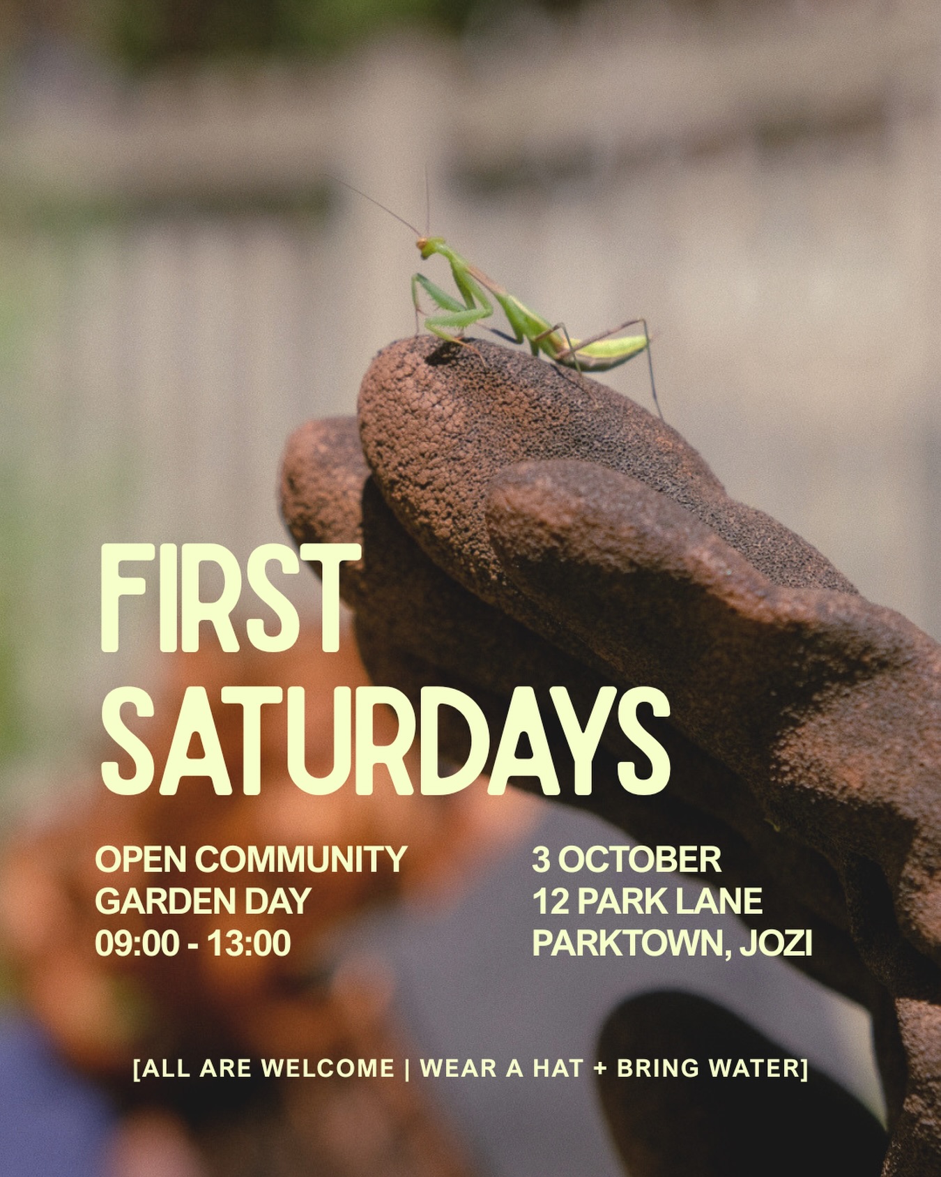 Open Community Garden Day at 12 Park Lane